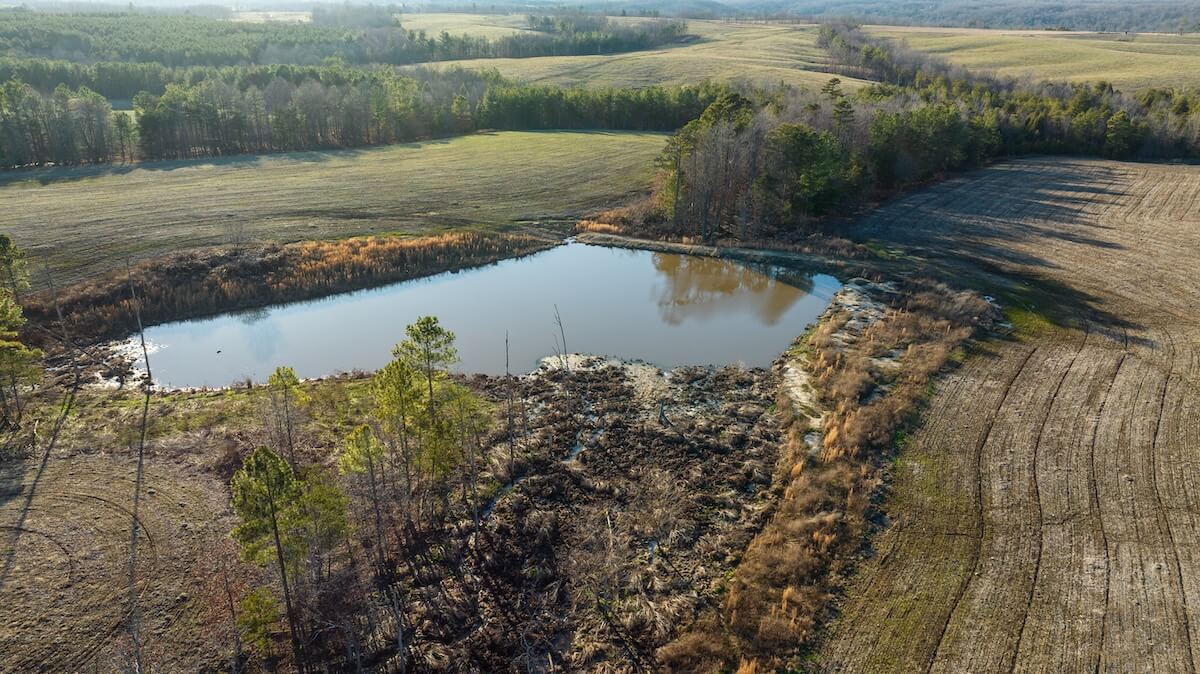 Land Management: Pond Management Tips and Tactics